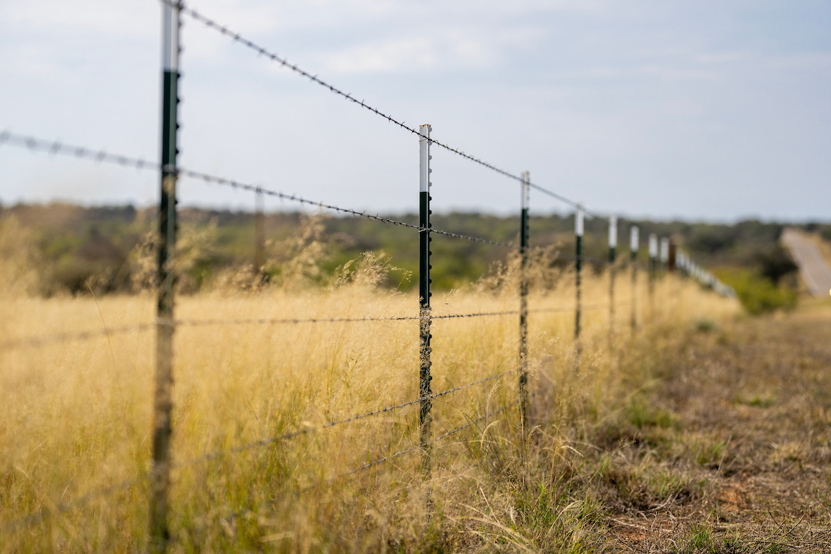 A barbed-wire fence in a field