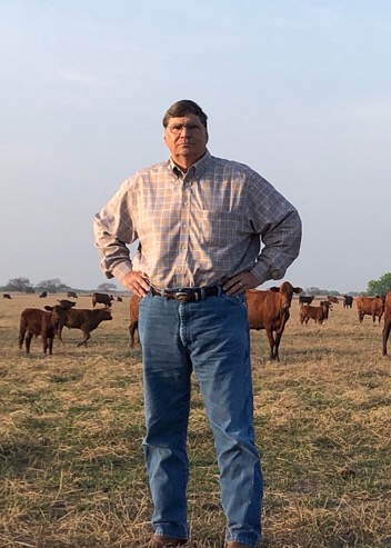 A man stands in a field with his hands on his hips. Cows stand behind him. 